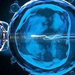 淄博三代试管婴儿借卵生子结构排名在这