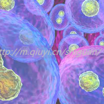 乌鲁木齐三代试管私人生孩子公司Top10排行