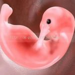 深圳三代试管婴儿借卵生子医院排名第一是哪家 深圳三代试管婴儿借卵生子医院排名第一是哪家