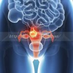 上饶三代试管私人生孩子机构排名前十有哪些