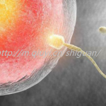 信阳三代试管婴儿借卵生子医院最新排名