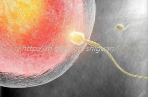 信阳三代试管婴儿借卵生子医院最新排名