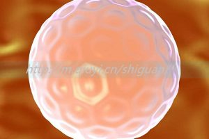 台州三代试管婴儿借卵生子医院最新排名