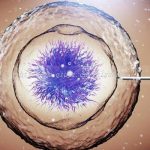 北京三代试管助孕供卵生孩子公司名单