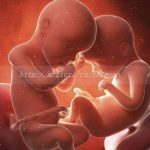 江西省三代试管助孕借卵生子医院排名前十公布