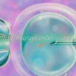 兰州三代试管借卵生子医院有哪些