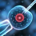 重庆第三代试管包生男孩吗