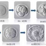三代试管私立医院《行业推荐匠心奖》 三代试管私立医院《行业推荐匠心奖》