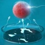 国内三代试管婴儿私立医院 做三代试管医院哪些好