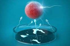 国内三代试管婴儿私立医院 做三代试管医院哪些好