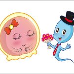 重庆妇幼做第三代试管包生男孩价格多少 重庆妇幼做第三代试管包生男孩价格多少