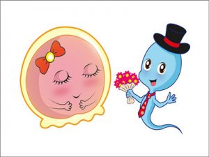 重庆妇幼做第三代试管包生男孩价格多少