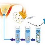 荆门三代试管婴儿借卵生子费用大约需要多少
