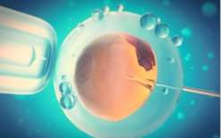 南昌第三代试管包生男孩价格明细？