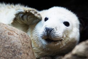 湖北三代试管生男孩医院排名