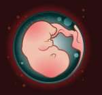 成都单角子宫做三代试管能成功吗 成都单角子宫做三代试管能成功吗