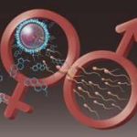 西宁试管都不能怀上怎么办_三代试管助孕机构 西宁试管都不能怀上怎么办_三代试管助孕机构