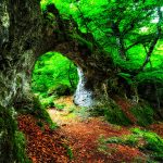 毕节第三代试管选择性别 毕节第三代试管选择性别