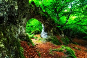 毕节第三代试管选择性别