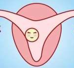 43岁子宫内膜厚度正常范围(卵泡大小参照表)