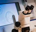 三代试管婴儿包生男孩价格多少? 三代试管婴儿包生男孩价格多少?