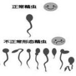 合肥试管婴儿第三代可以在那里做？合肥做第三代试管婴儿多少钱？