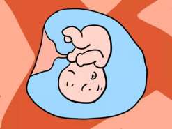 甘肃第三代试管助孕价格？甘肃省妇幼生殖科试管婴儿哪个大夫做的好？