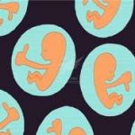 国内公立医院供卵试管费用大概多少 国内公立医院供卵试管费用大概多少