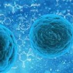 郑州大学第三附属医院做供卵三代试管生男孩多少钱