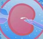 广州第三代试管包生男孩价格是多少？