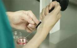 2023益阳三代试管生混血宝宝费用明细，不同医院差异化较大