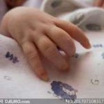 备孕吃什么水果促进排卵(备孕吃什么水果卵泡质量好)