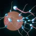 安顺三代试管一般放几个胚胎 三代试管能放几个胚胎