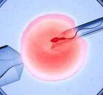 西宁卵泡少做三代试管成功率高吗-正规试管供卵中介