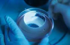 海口高龄三代试管好还是自然受孕好