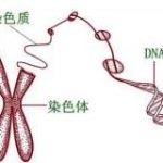 介绍一下!合肥三代试管供卵宝宝?