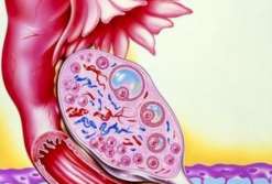 深圳卵巢储备功能下降三代试管能成功吗_正规供卵试管生子机构