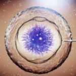 「沧海茫茫」呼和浩特三代试管婴儿双胞胎的费用多少