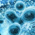 唐都医院第三代试管婴儿生男孩价格多少？