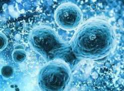 唐都医院第三代试管婴儿生男孩价格多少？