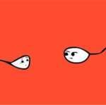 三代试管生男孩的成功率有多高