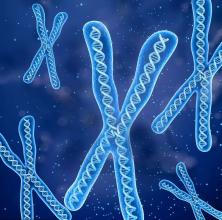 【焦点新闻】拉萨供卵三代试管多少钱