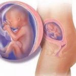 2023重庆第三代试管男孩最新价格表一览！