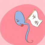 注意!第三代试管婴儿如何避免生化妊娠? 注意!第三代试管婴儿如何避免生化妊娠?