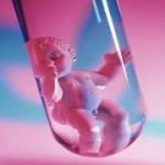 上海供卵助孕选性别包生男孩(美国第三代试管婴儿选性别多少钱)