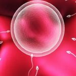 中部战区总医院做三代试管包生男孩费用大概要多少？