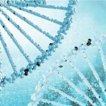 广州医科大学附属第三医院供卵试管费用是多少 广州医科大学附属第三医院供卵试管费用是多少