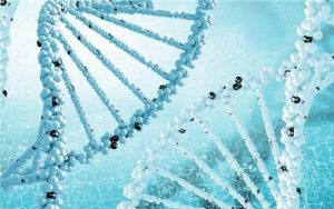 广州医科大学附属第三医院供卵试管费用是多少