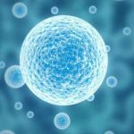 深圳三代试管助孕 深圳三代试管助孕