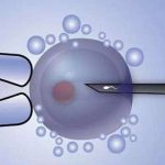 河北卵子捐献试管成功率前10的机构 河北卵子捐献试管成功率前10的机构